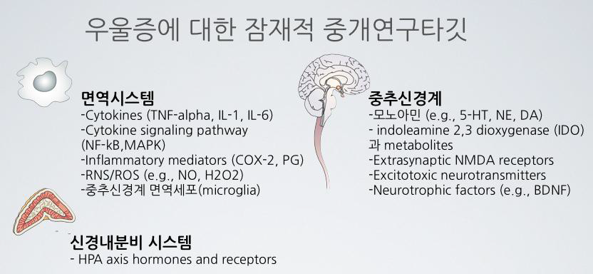 우울증에 대한 잠재적 중개연구 타깃에 대한 요약. 논문[21]의 표 수정