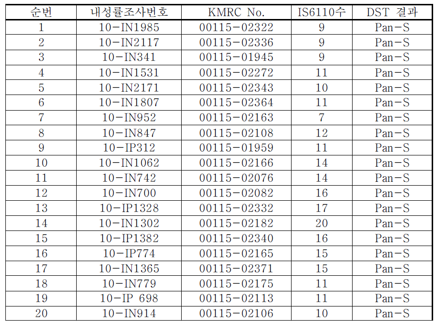 RFLP 방법에 의해 분류된 임상분리 결핵균주