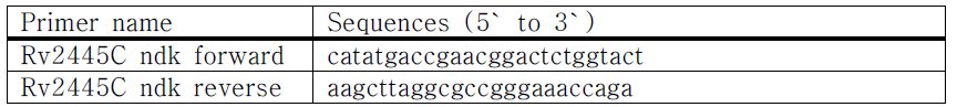 Rv2445c 유전자 증폭을 위한 프라이머