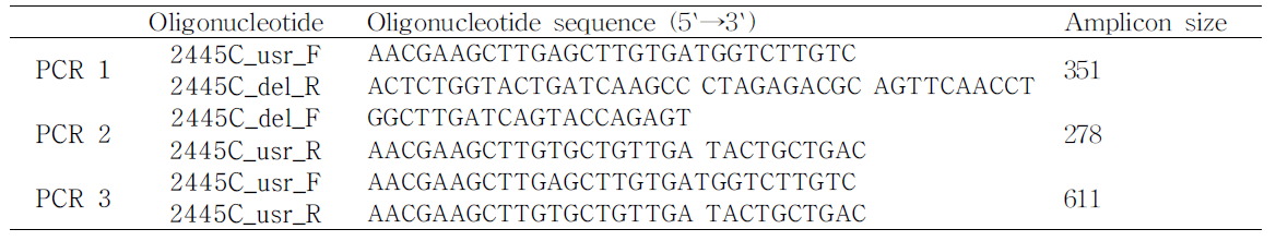 M.tuberculosis Rv2445C 돌연변이 구축을 위한 oligonucleotide