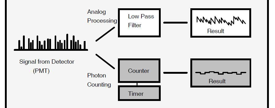 광자 카운팅의 원리 및 아날로그 신호 검출과의 차이점