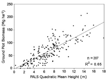 PALS quadrativ Mean Height 와 Ground Plot Biomass 와의 상관성 분석