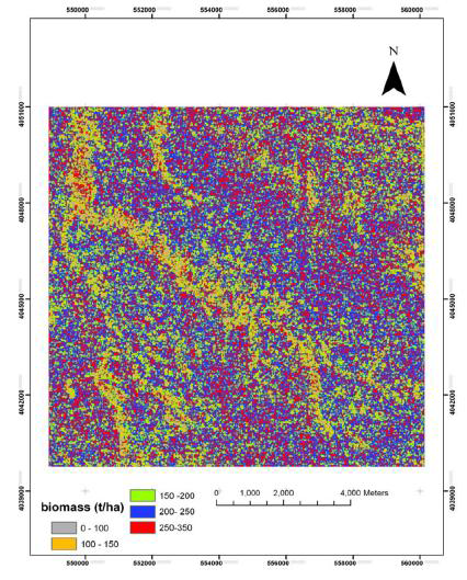 연구지역의 바이오매스 지도