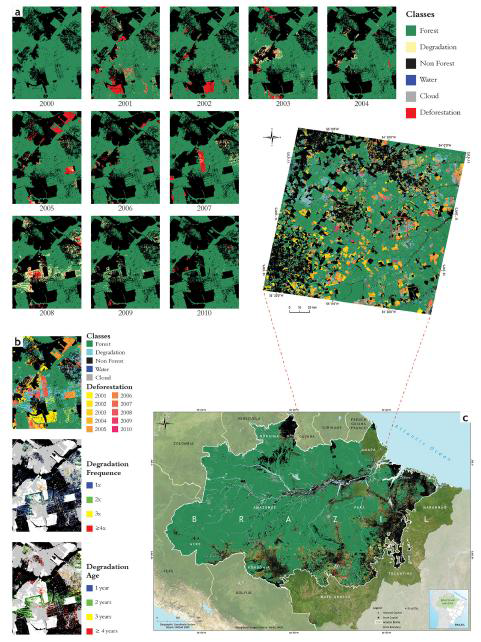 연간 산림황폐화 및 산림저하 지역 분류 결과