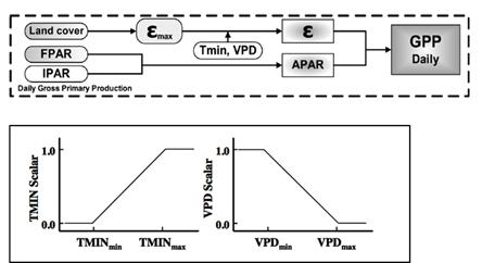 MODIS GPP 알고리즘과 알고리즘 내 기온 및 수증기압에 대한 선형식.