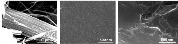 탄소나노튜브 기반 1D,2D,3D 구조 파악 – 1D(좌),2D(중),3D(우) 구조 SEM 사진