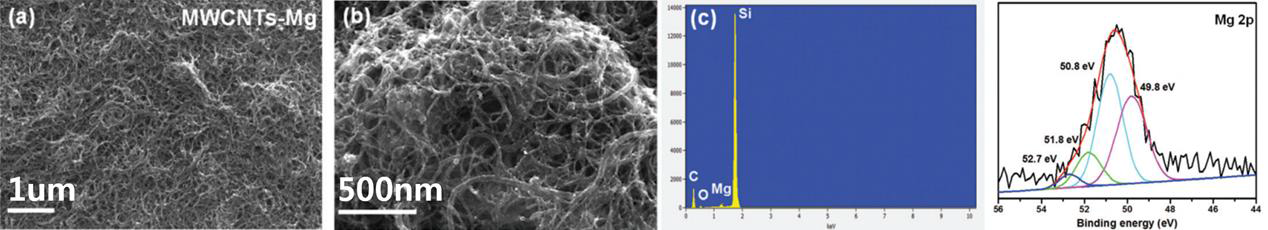주사형전자현미경(SEM), EDX spectra, XPS spectra를 통한 CNTs-Mg/MgO 복합 구조의 표면 형상 및 성분 분석, 결합 에너지 분석