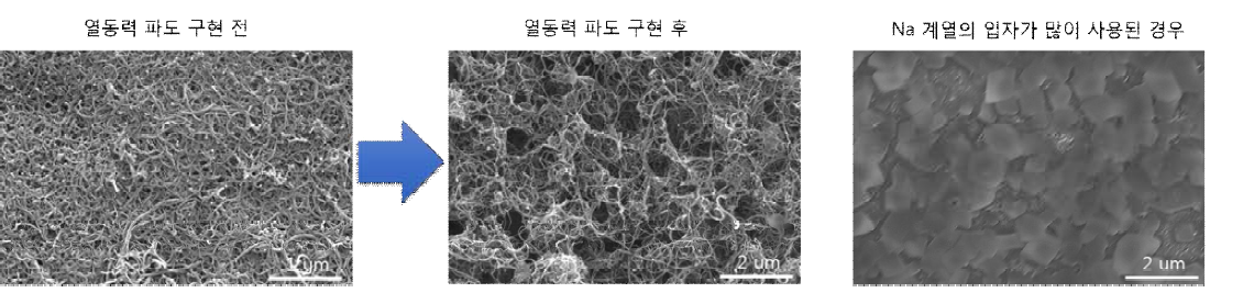 MWCNT 필름에서의 열전-열동력 파도 구현시 표면 변화 양상