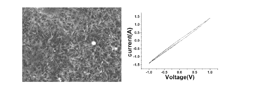 Cu(OH)2 의 형상 및 I-V 커브 분석 결과
