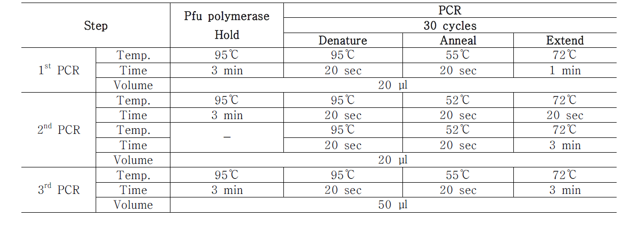 construct 제작에 사용된 PCR 조건