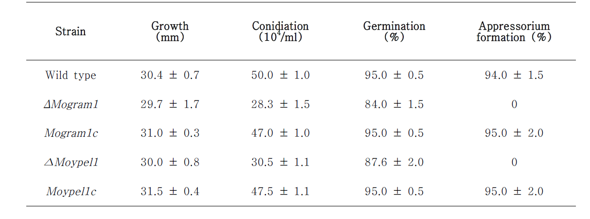 ΔMograms과 ΔMoypels deletion mutnats의 벼도열병 생활사에서의 표현형