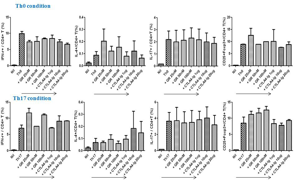 CTLA4Ig coating well을 이용한 Th17 억제 실험 결과