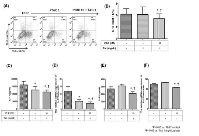 1α,25 vitamin D3에 의한 Th17의 분화 억제효과