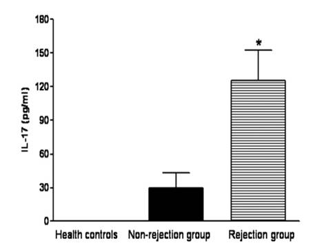 IL-17과 급성거부반응의 연관성