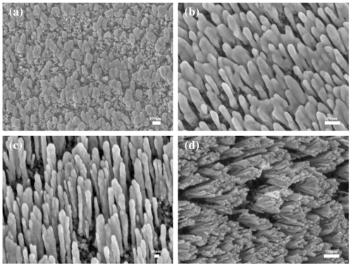 합성된 CuO-TiO2 tandem형 광촉매의 Surface morphology를 SEM으로 분석한 사진