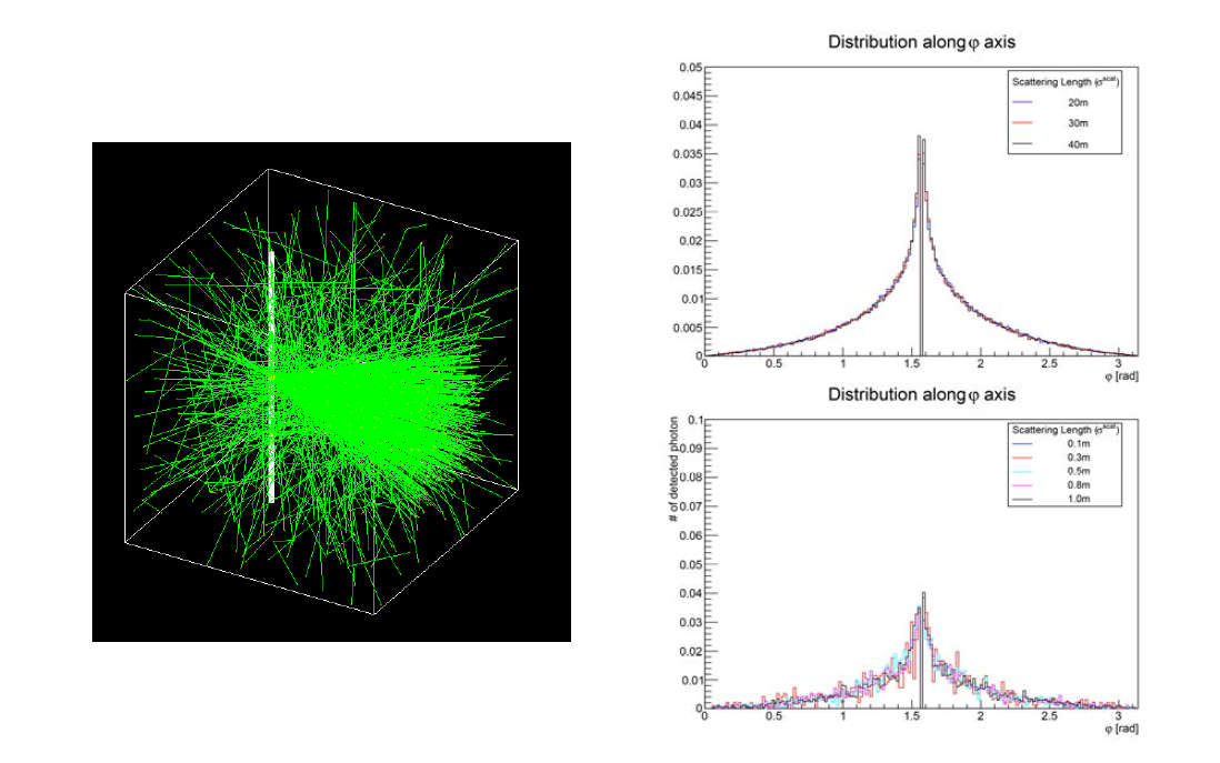 Results of our GEANT4 simulation for photon traveling in the Antarctic ice