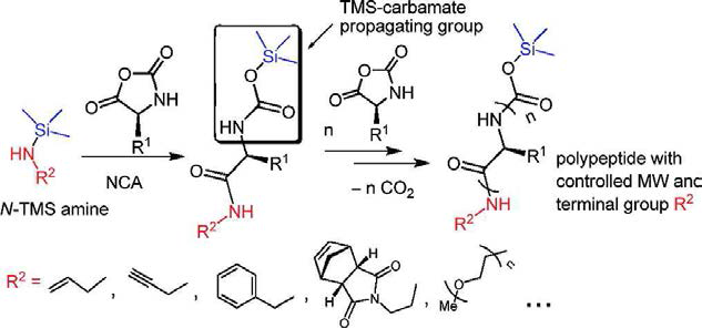 Cheng 등에 의해 개발된 Trimethylsilyl amine 개시제에 의한 NCA 개환중합 방법 (J. Am. Chem. Soc. 2007, 129, 14114. ibid. 2008, 130, 12562.)