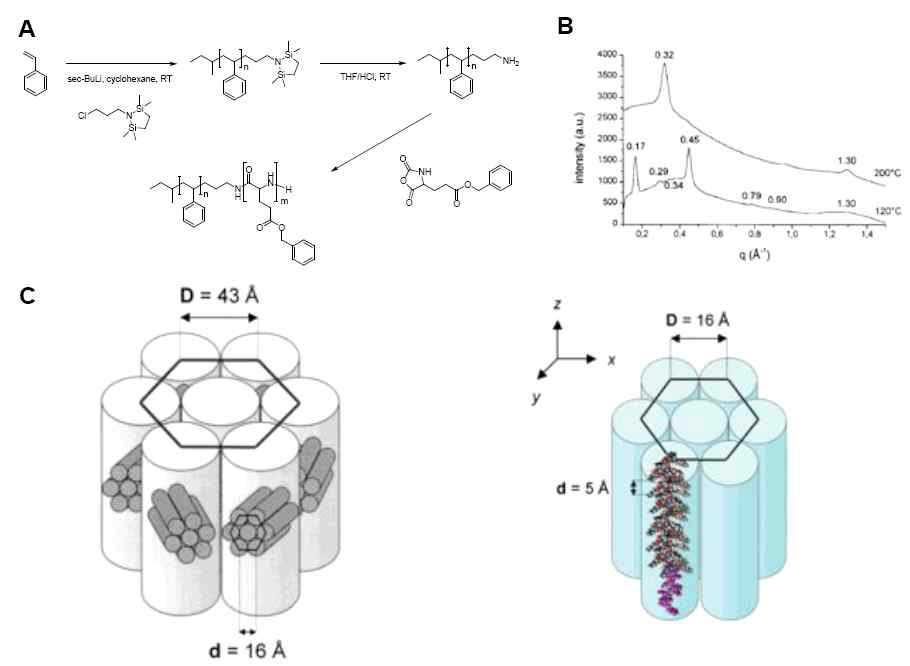 1차 아민을 지닌 고분자를 개시제로 이용한 펩타이드 블록 공중합체의 합성과 이의 conformation dependent self-assembly (Macromolecules 2000, 38, 7819.)