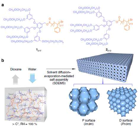 SDEMS 방법으로 형성된 mesoporous monolith 의 사진과 내부구조 특성결정