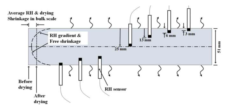 RH sensors installed symmetrically in prism mold