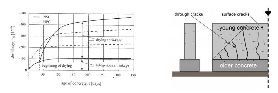 초기재령 고성능 콘크리트의 자기수축 및 수축균열 (CEB-FIP 1992; Bernander 1982)