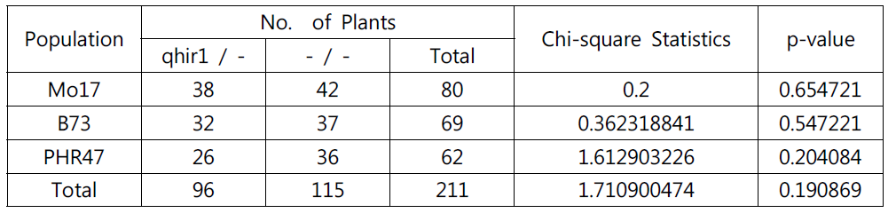 . BC2F1 개체에 대한 genotyping 및 분리비에 대한 chi-square test 결과