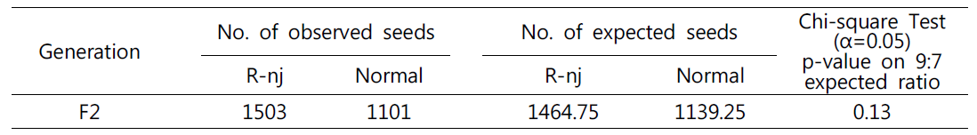 F2종자에서 R-nj 표현형 발현에 대한 9:7분리비 적합도 검정