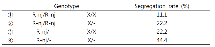 F2종자에서 R-nj 표현형에 대한 유전자형 및 이들의 분리비