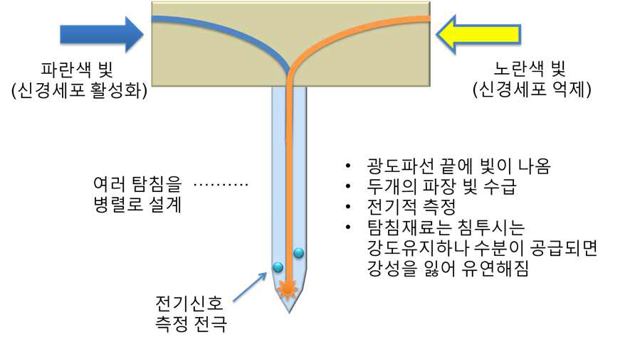 광/전기 탐침 디자인. 광섬유로 전달되는 빛을 탐침에 연결하여서 광도파선을 통해 유연한 탐침끝으로 빛이 전달된다