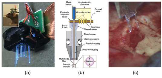 (a) MIT에서 발표한 무선 멀티싸이트 광자극 탐침 Array (b) 스탠포드에서 발표한 광섬유 탐침과 실시간 전기신호 측정 전극 Array [4] (c) 카네기멜론대에서 발표한 유연한 전기탐침