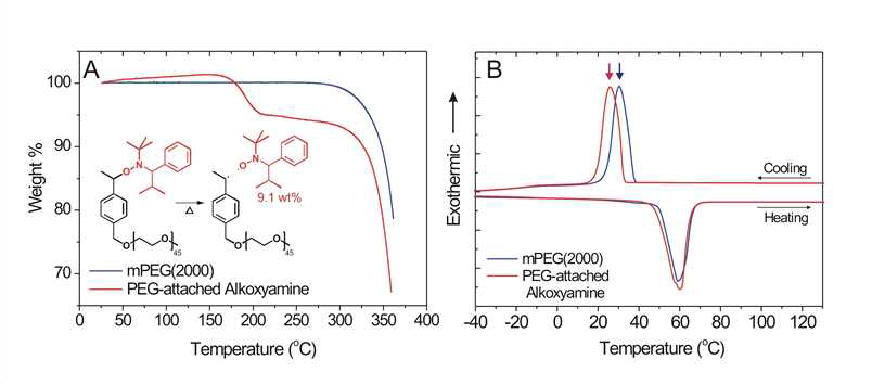 mPEG으로 변형된 Alkoxyamine 라디칼 개시제의 열분석 결과. (A) Thermal Gravimetric Analysis(TGA) 분석 결과. 150-200 oC 구간에서 Nitroxide 라디칼의 무게 비율(~9.1 wt%)에 해당하는 변화가 있으므로 mPEG의 말단에 Alkoxyamine 라디칼 개시제가 결합되어 thermalysis에 의한 라디칼 생성이 가능함을 확인할 수 있다. (B) Differential Scanning Calorimetry (DSC) 분석 결과 결정화 온도(Tc)가 30.3 oC에서 25.8 oC로 변화하여 Alkoxyamine 라디칼 개시제의 말단 치환 반응에 의해 mPEG의 Tc가 변화되었음을 확인할 수 있다.