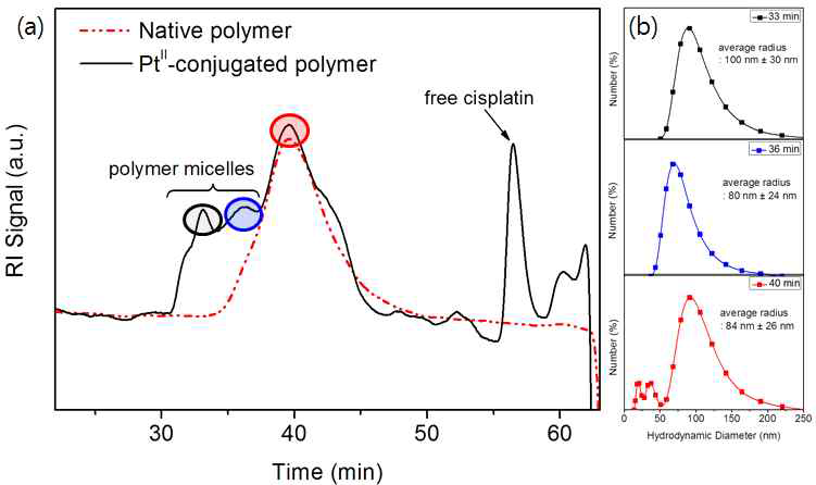 수용성 GPC/SEC와 Dynamic Light Scattering (DLS)을 이용한 백금-고분자 나노 구조체의 분석.(A) 합성된 블록-공중합체 단량체(붉은 점선)와 백금 이온과의 배위결합을 통하여 형성된 나노구조체의 크로마토그램(검은 실선). (B) 수용성 GPC/SEC의 용출 시간에 따른 백금-고분자 나노 구조체의 DLS 분석 결과. 이를 통하여 수용성 GPC/SEC 크로마토그램에서 고분자 단량체 앞에서 관찰된 피크가 cisplatin에 의해 새롭게 형성된 나노입자임을 확인할 수 있다.