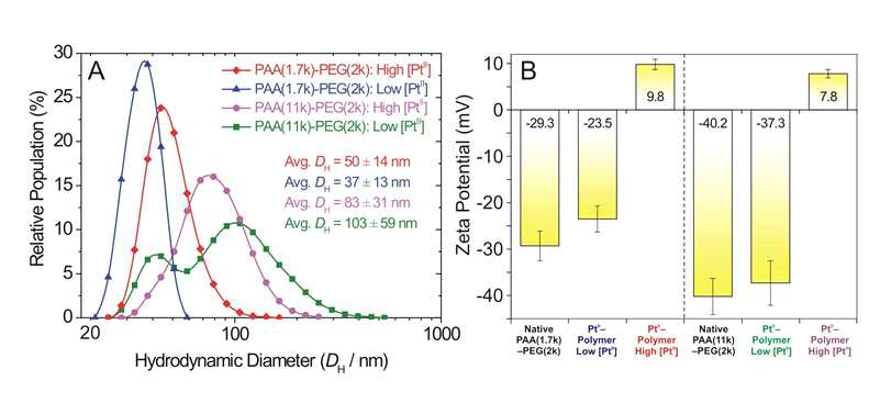 합성된 고분자체의 분자량 및 [PtII]/[acrylate]의 mol 비율에 따른 나노 구조체의 콜로이드 특성 분석. (A) DLS 분석을 통한 백금-고분자 나노 구조체의 유체역학적 크기 (Hydrodynamic diameter, DH) 분포.(B) Zeta potential 측정을 통한 나노 구조체의 표면 전하 분석. ([PtII]/[acrylate]의 mol 비율: High [PtII] =2.2 mol/mol, Low [PtII] = 0.2 mol/mol).