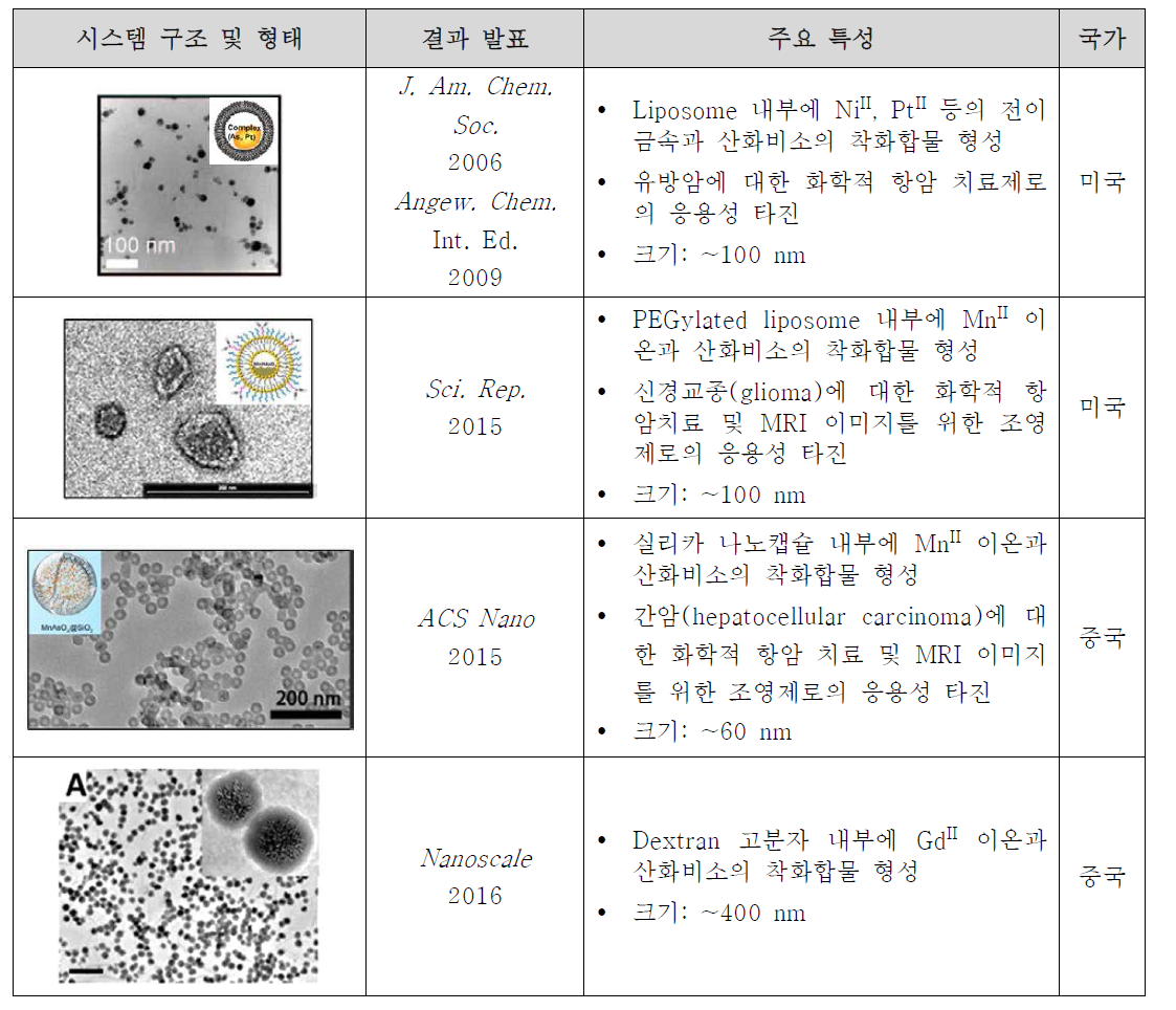 국내외에서 개발된 항암치료용 산화비소가 장착된 나노플랫폼 시스템