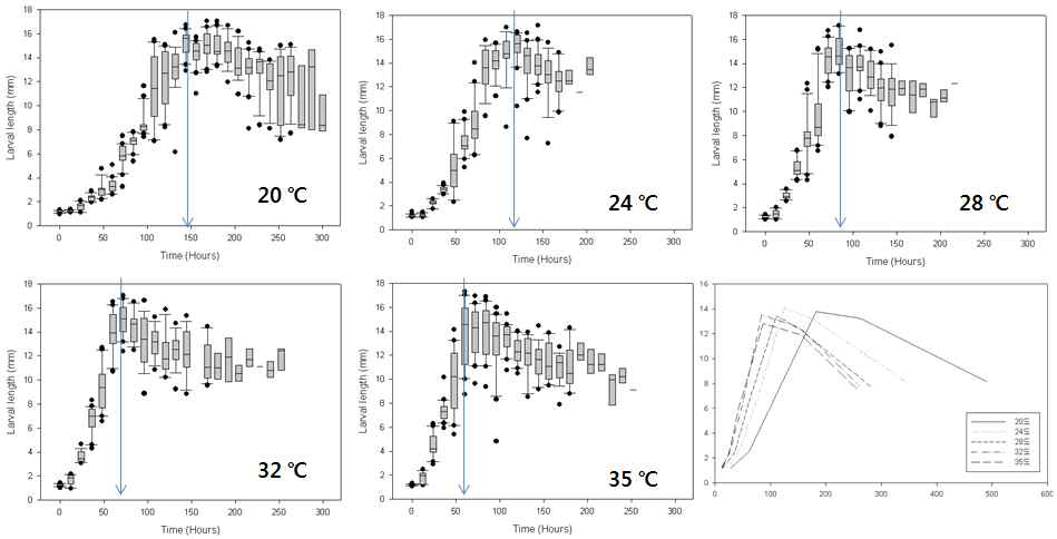 각 발생 온도별 몸길이의 변화