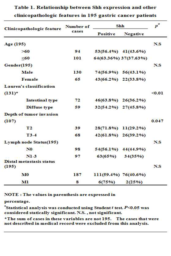 위암 환자 조직에서 병리학적 요소와 Shh 발현의 상관관계 표
