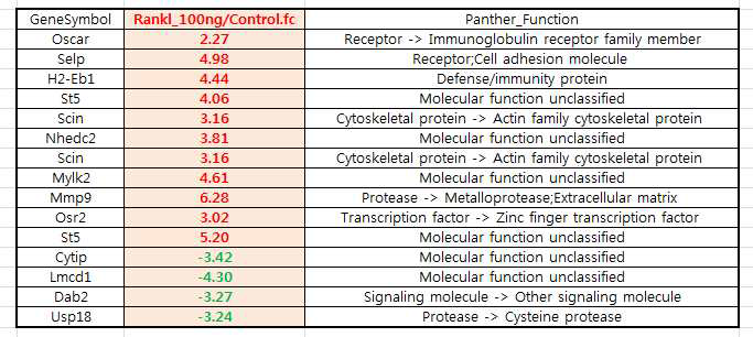 RANKL 처리 후 up-, down-regulation되는 단백질군