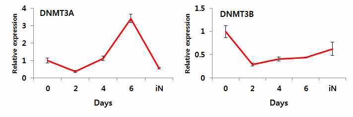 iN cells(induced neuronal)를 생성하는 direct conversion과정에서 DNMT3A, DNMT3B의 변화