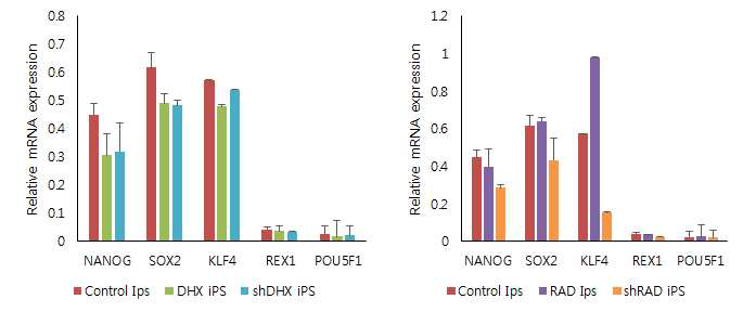 DNA demethylase overexpression 과 knockdown iPS real-time PCR 결 과