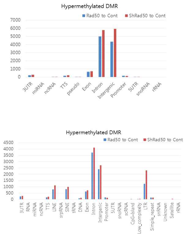 DMR을 통한 여러 지역의 methylation의 양 상 확인