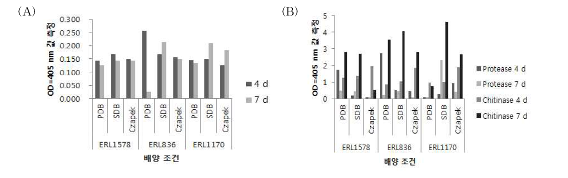 ERL836, 1170, 1578의 배지 별, 배양시간 별 chitinase, protease, lipase의 OD값 측정. (A), Lipase 측정; (B), Protease, chitinase 측정