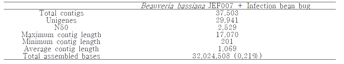 Beauveria bassiana JEF007과 JEF007에 감염된 톱다리개머허리노린재의 assembly 결과