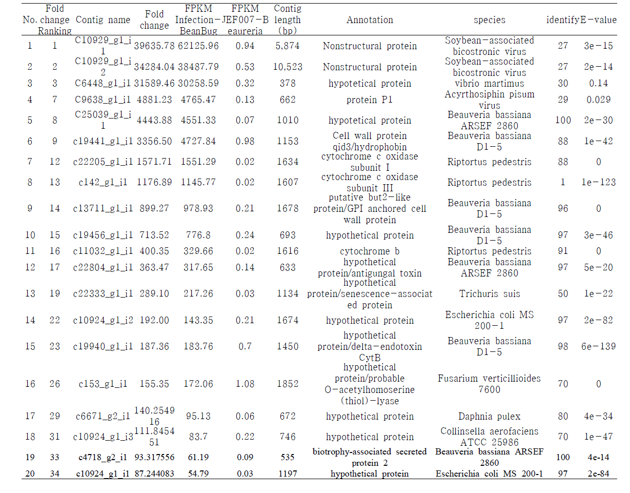 Beauveria bassiana JEF007과 B. bassiana JEF007에 감염된 톱다리개미허리노린재의 DEGs 분석