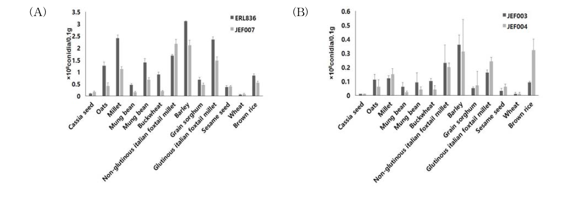 10일 간 13개 곡물에 배양된 균주의 포자 생산성. (A), Beauveria bassiana ERL836, JEF007; (B), Metarhizium anisopliae JEF003, JEF004