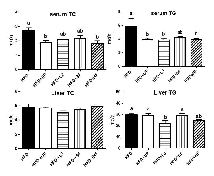 16주간의 고지방식이 섭취 C57BL/6N mice의 혈장과 간 조직에서의 중성지방과 콜레스테롤 수치