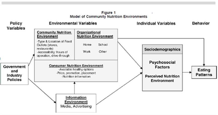 Model of community Nutrition Environments