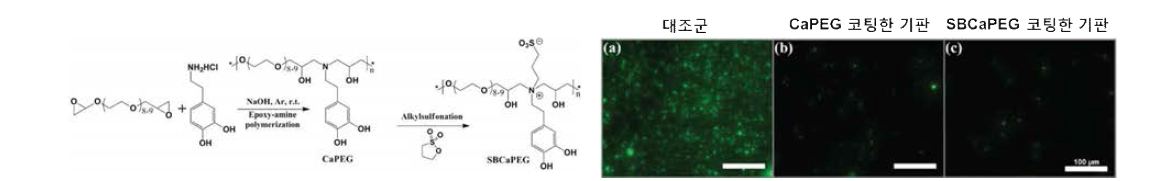 박테리아의 표면 흡착을 억제해 주는 고분자의 합성 과정과 기능성 평가 결과를 보고한 사례