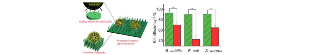 실리콘 나노구조와 표면개질을 결합하여 박테리아를 죽이는 기능성 표면을 개발한 연구 사례