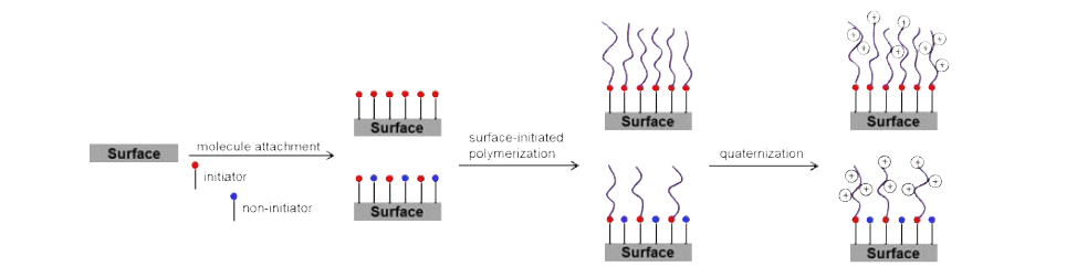 4차 암모늄 고분자의 표면 중합 밀도를 조절하기 위한 실험적 방법 개략도