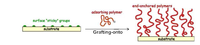 Grafting-onto 방법의 개략도